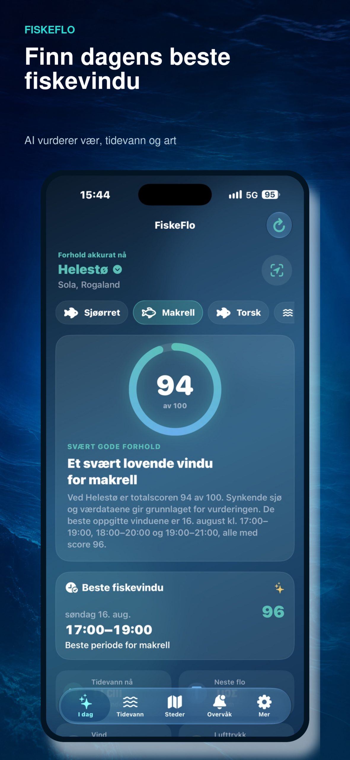 Beste fiskevindu og fiskescore